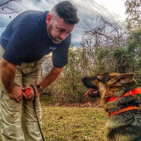 Leash k9 training best sale