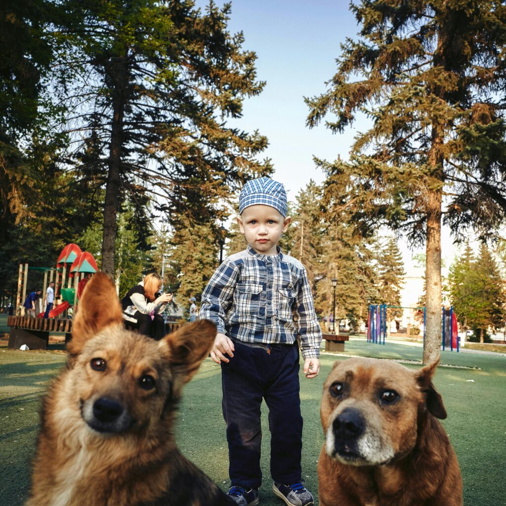Back-2-School: Smooth Transitions for a Happy, Confident Dog