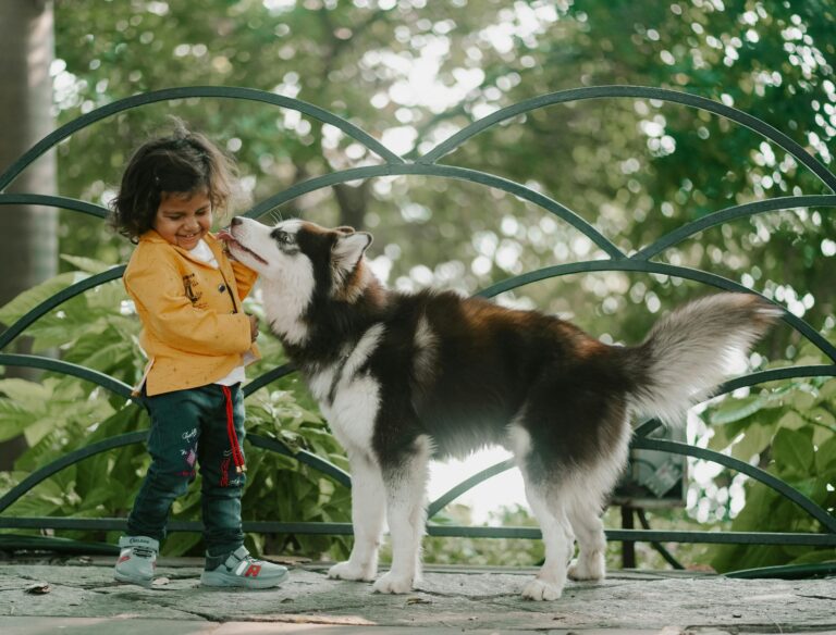 Training Tips for Families With Kids and Dogs