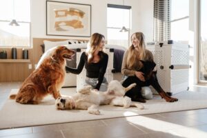 Crate Training 101: The Simple Positive Approach