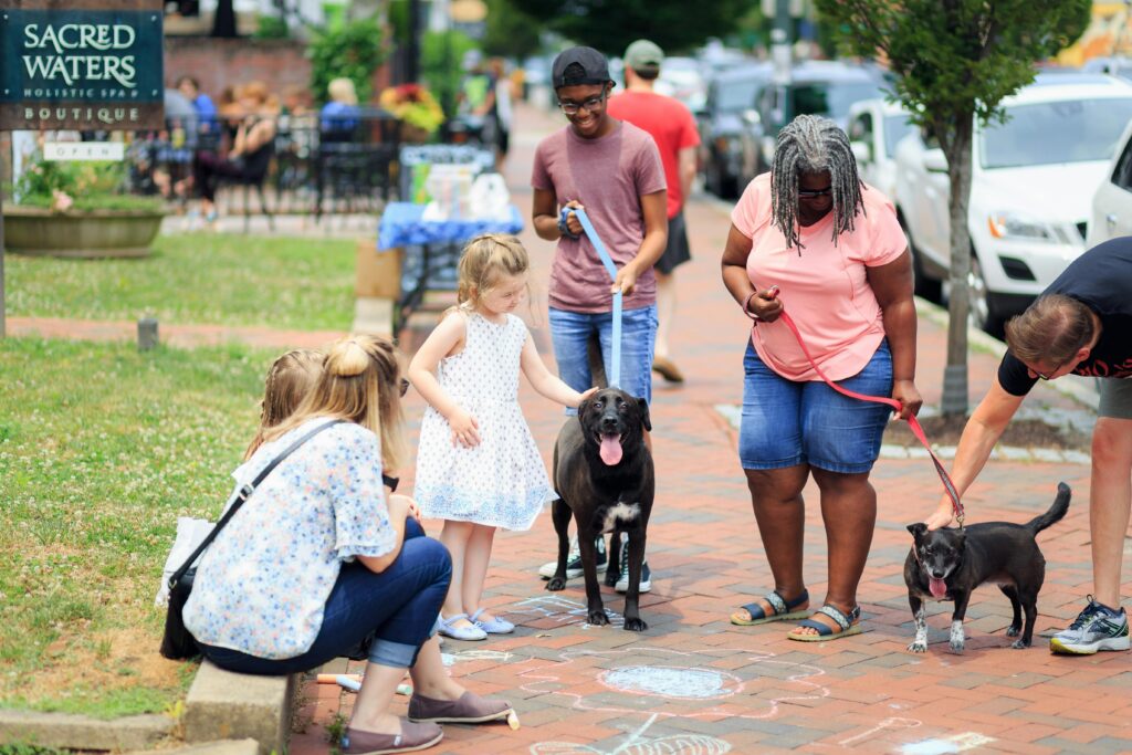 Dog Parks vs. Structured Play: What’s Better for Training? 