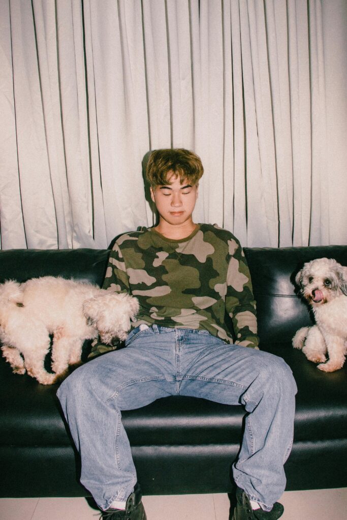 Gratitude Towards Dogs: Wonderful Lessons That Change Lives 