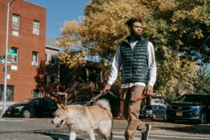Leash Reactivity: Powerful Causes, Fixes, & Myths Explained