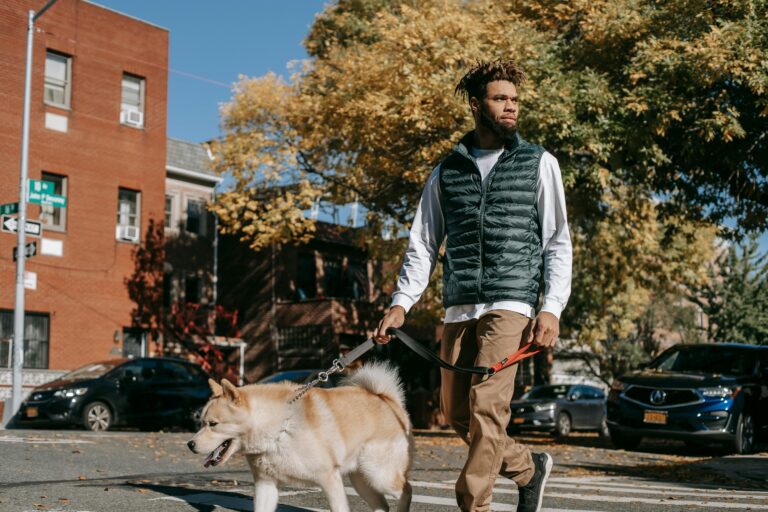 Leash Reactivity: Powerful Causes, Fixes, & Myths Explained