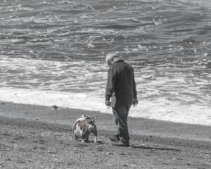 Veterans Special: The Incredible Impact of Dog Training on PTSD