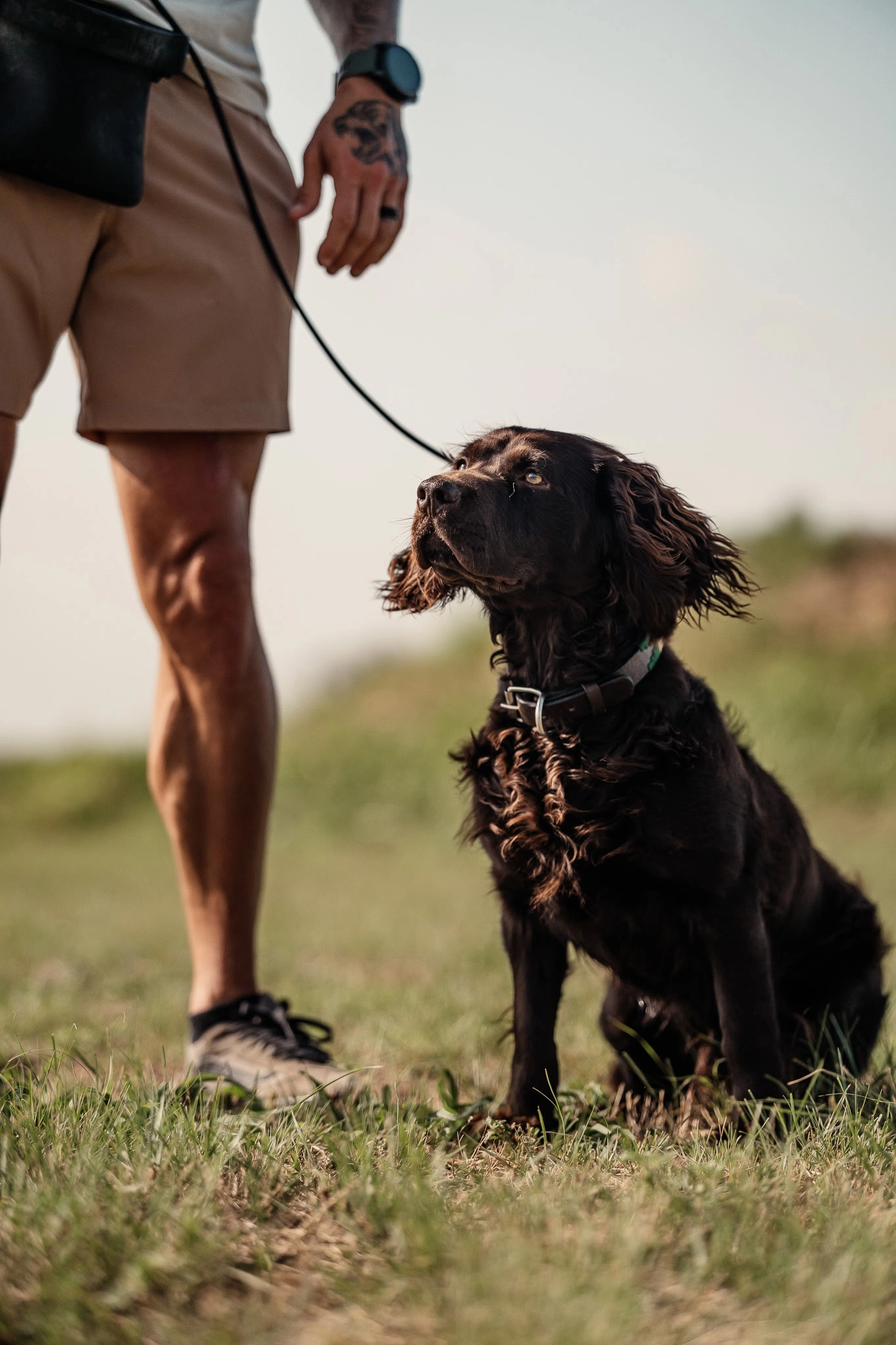 Meet Justin Rie, expert dog trainer and owner of Off Leash K9 Training Houston TX
